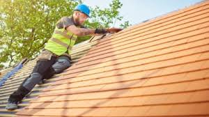 Best Solar Panel Roofing Installation  in Eslon, CA