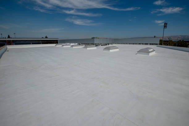 Best Roof Ventilation Installation  in Eslon, CA