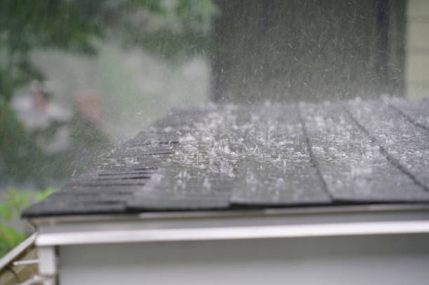 Best Sheet Metal Roofing  in Eslon, CA