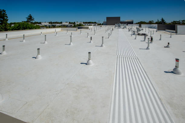 Best Roof Coating and Sealing  in Eslon, CA